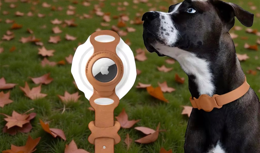 Collier en cuir pour chien et chat avec support Airtag